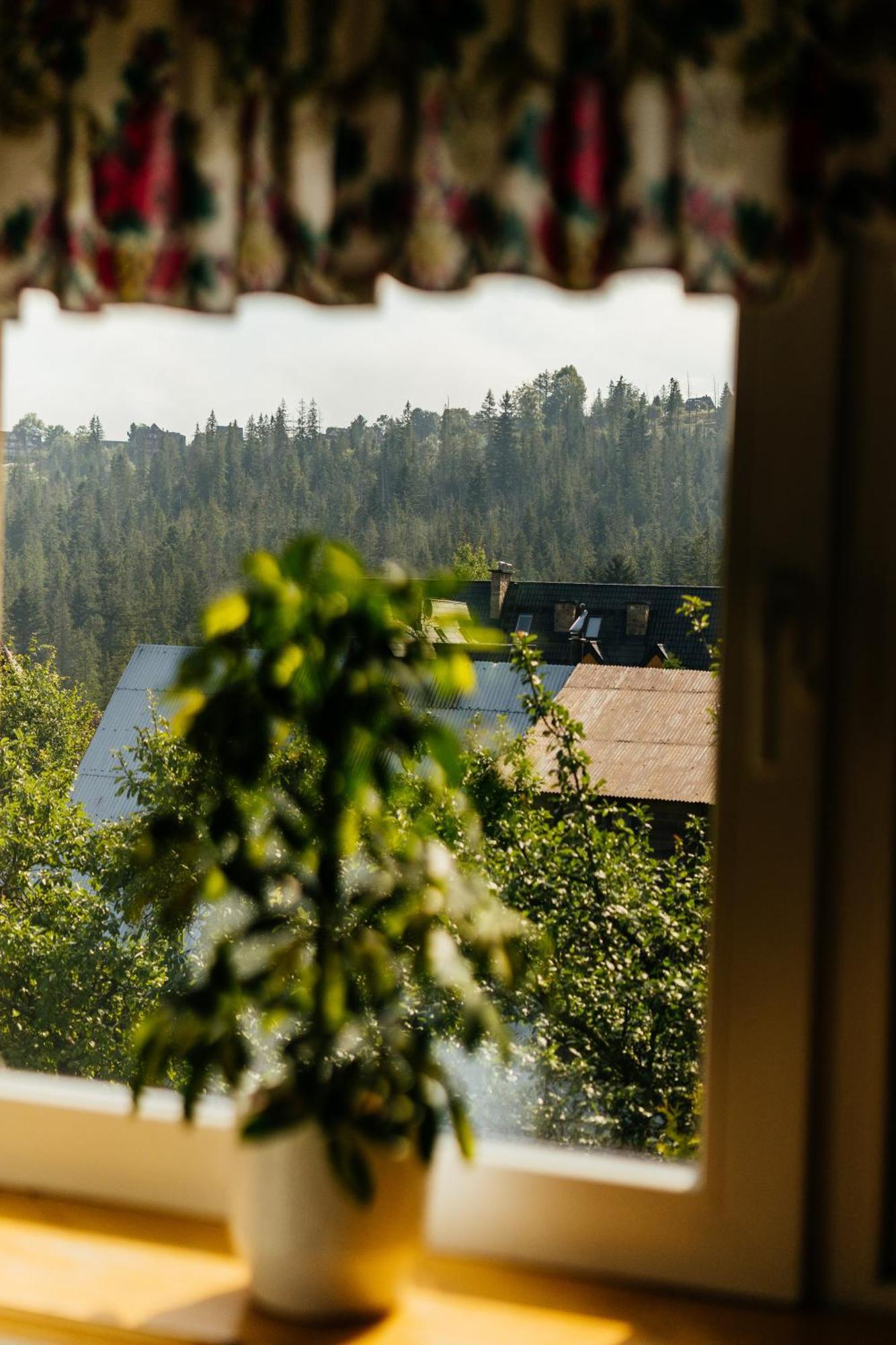Willa Marta M Sauna Jacuzzi Zakopane Exterior foto